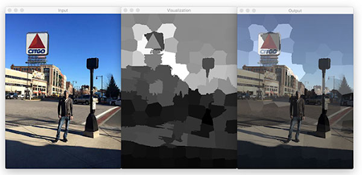 (a) Input (b) Visualisation (c) Output