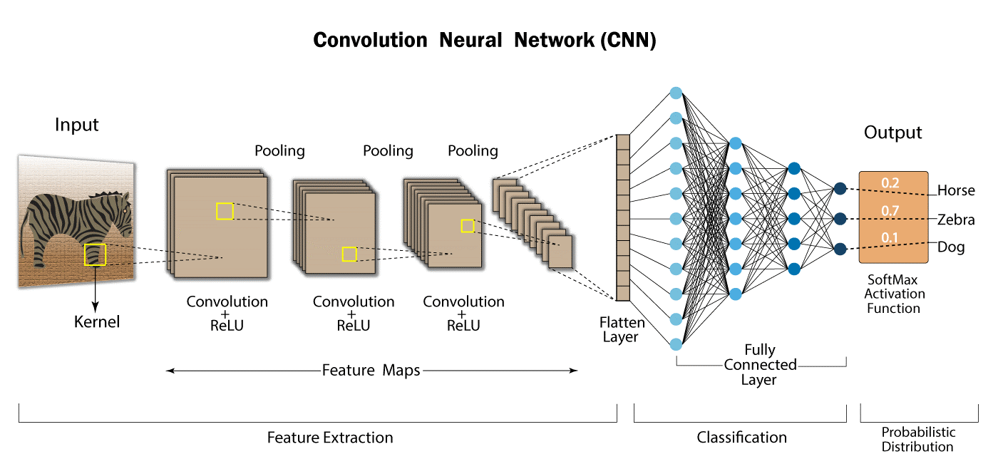 Convolutional Neural Network