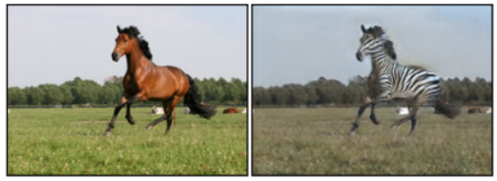 (A) Input Image (B) Output Image