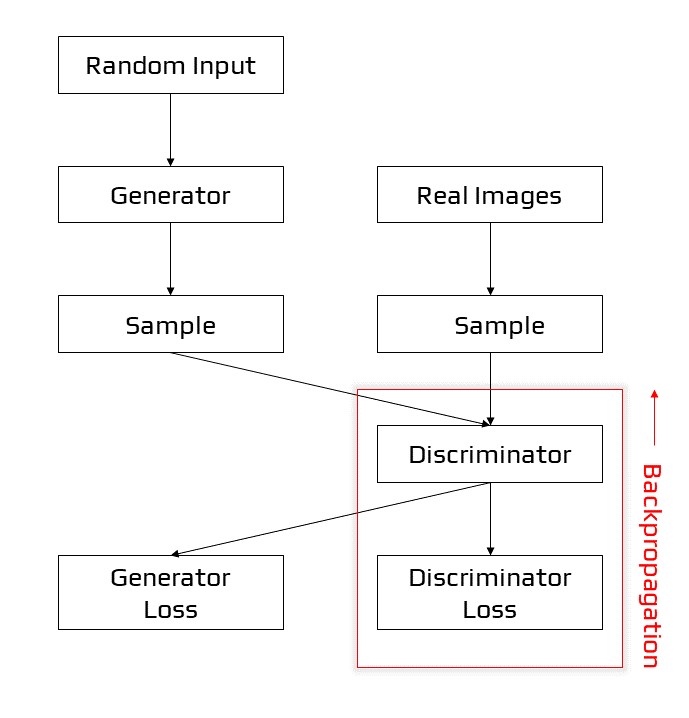 Backpropagation in discriminator training