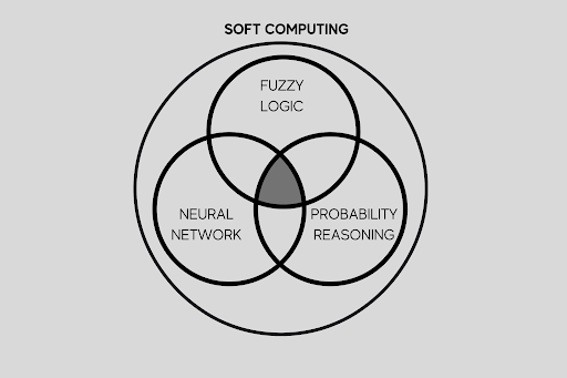 Soft Computing
