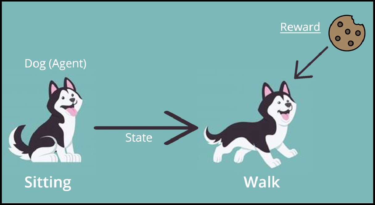 Example of teaching a dog