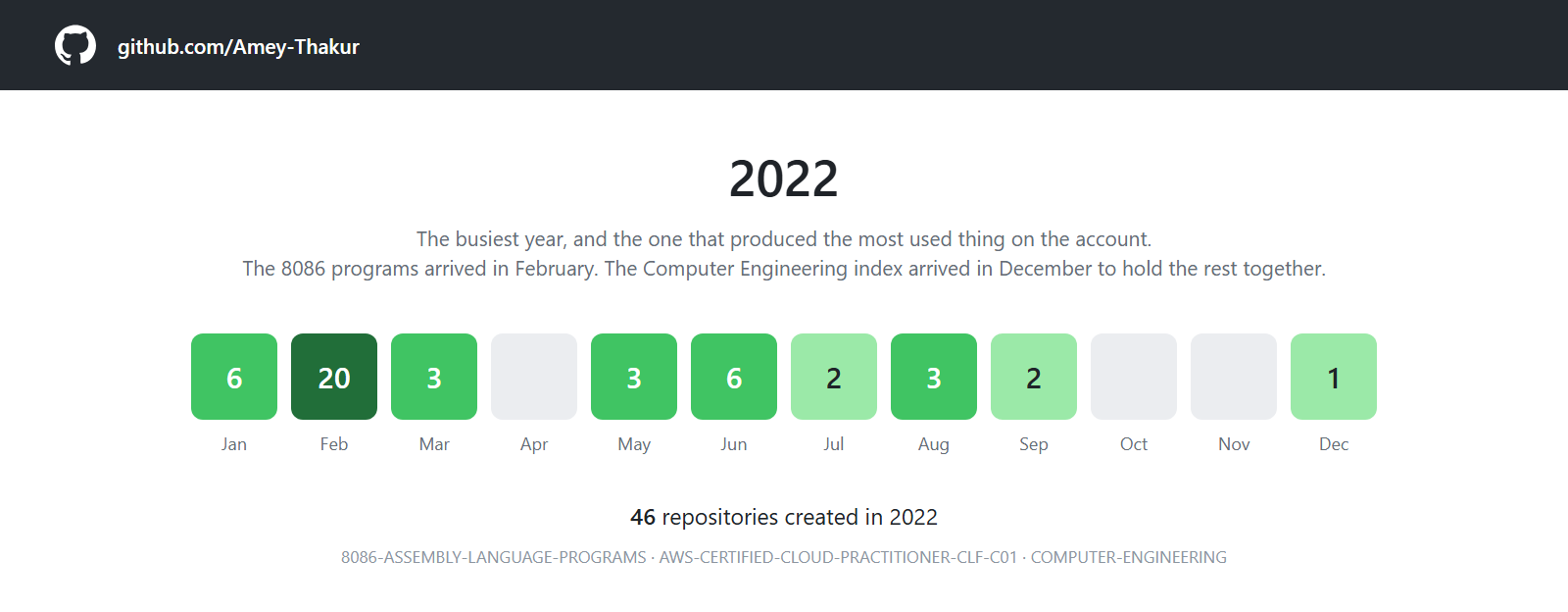 A twelve month grid for 2022, with twenty repositories in February.